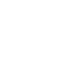 Main Street Capital logo