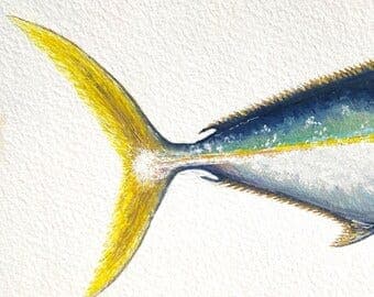 Kingfish Capital newsletter logo
